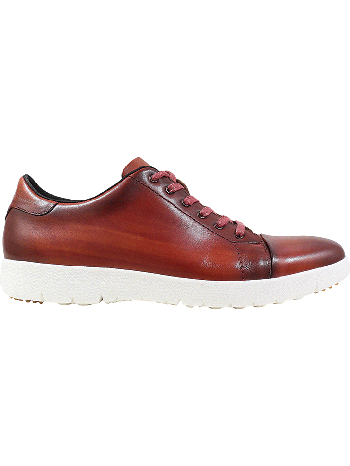 HAWKINS CAP TOE LACE CRANBERRY  STACY ADAMS